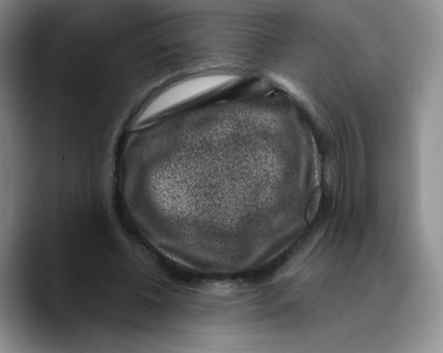 X0000089700540200707201742