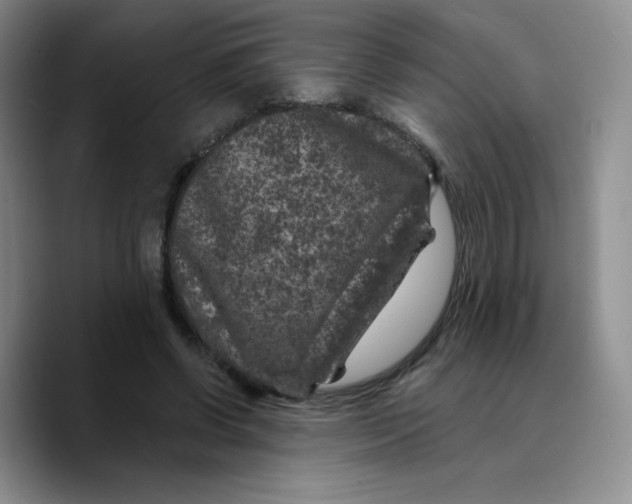 X0000089700542200707201742