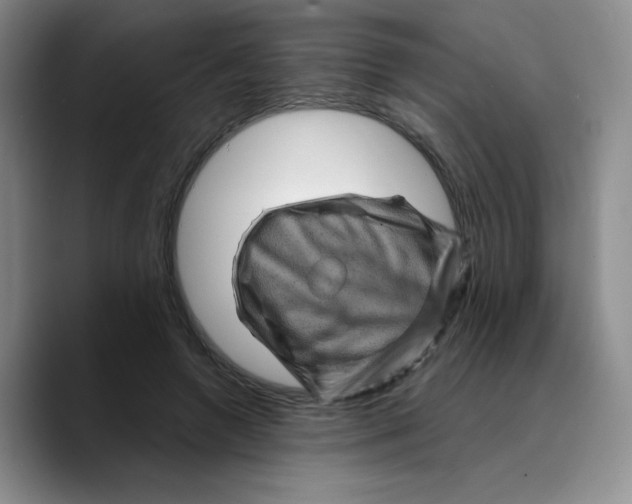 X0000089700546200707201742