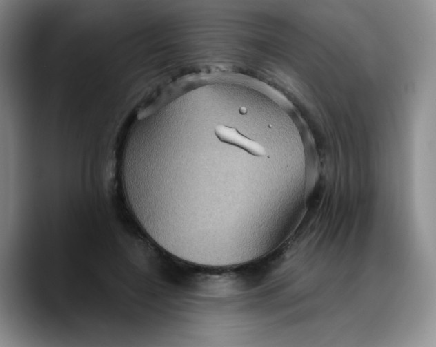 X0000089700548200707201742