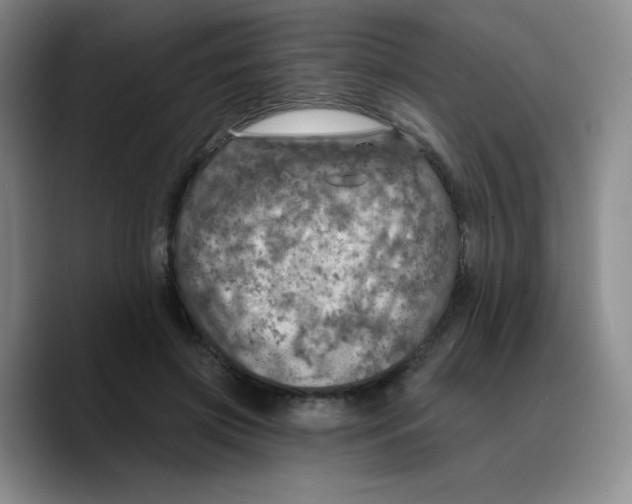 X0000089700549200707201742