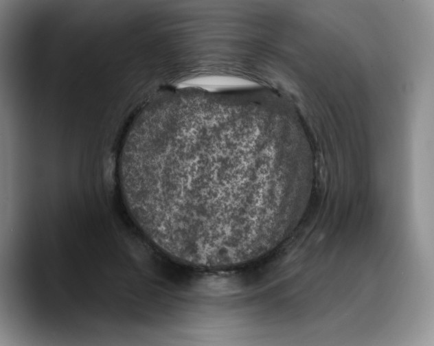X0000089700550200707201742