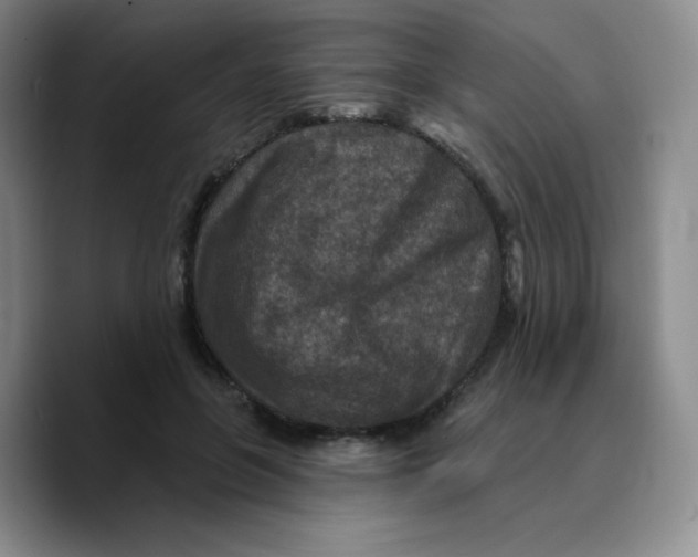 X0000089700551200707201742