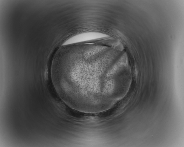X0000089700552200707201742