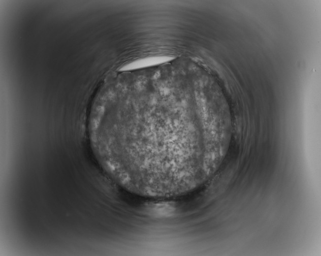 X0000089700553200707201742