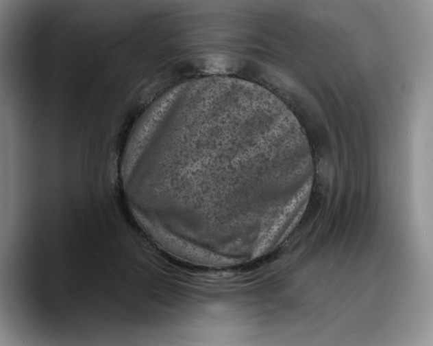 X0000089700554200707201742