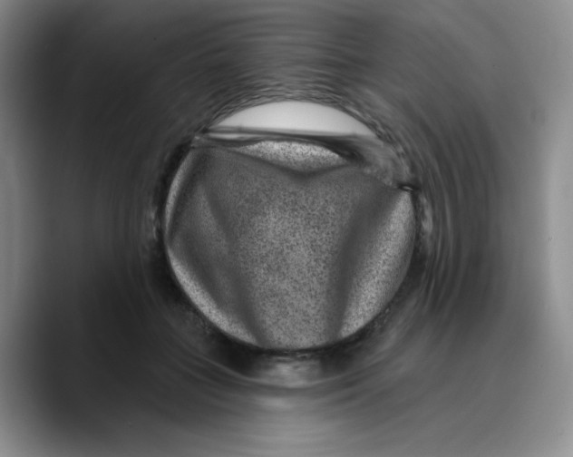 X0000089700555200707201742