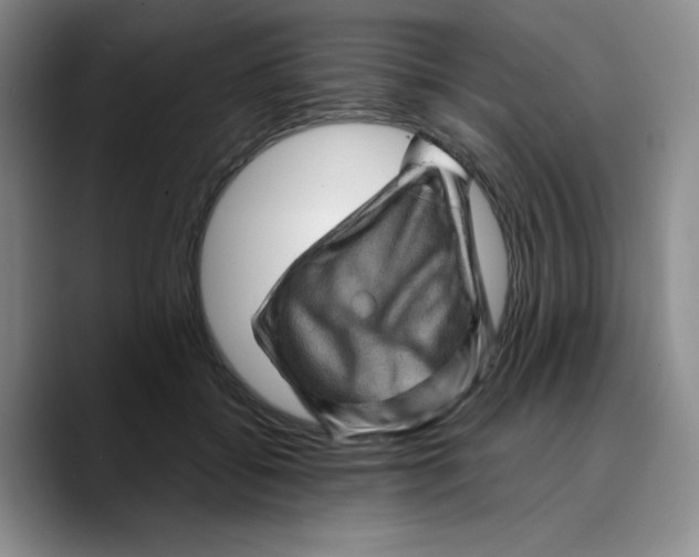 X0000089700556200707201742