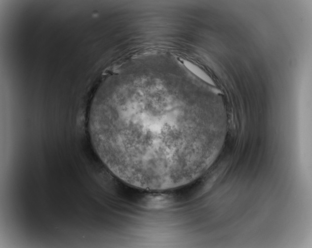 X0000089700557200707201742