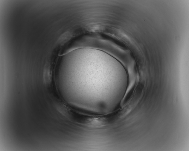 X0000089700558200707201742