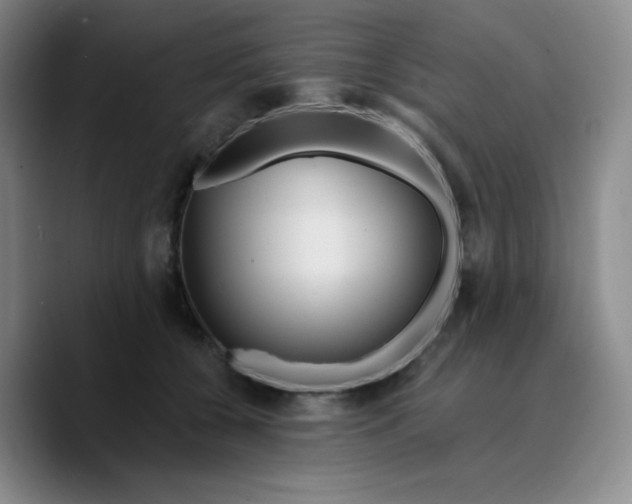 X0000089700560200707201742