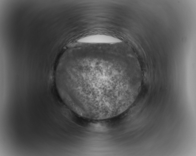 X0000089700561200707201742