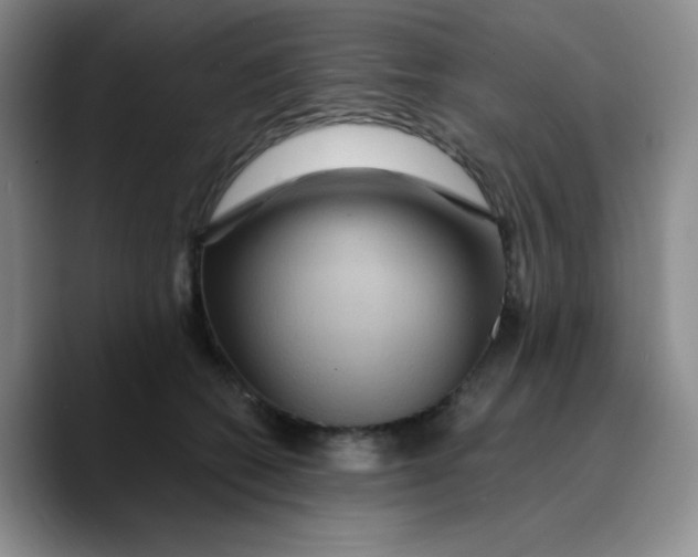 X0000089700562200707201743