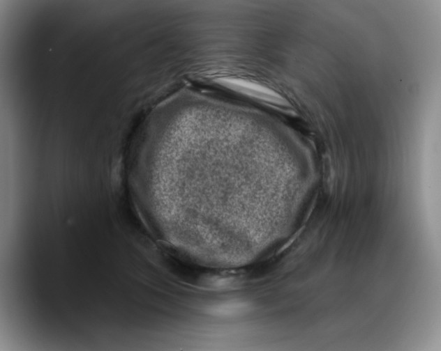 X0000089700563200707201743