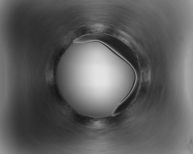 X0000089700564200707201743