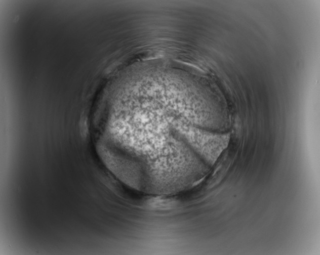 X0000089700568200707201743