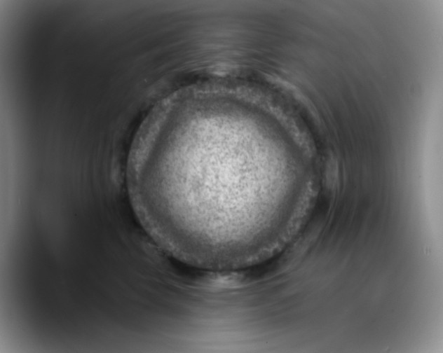 X0000089700569200707201743