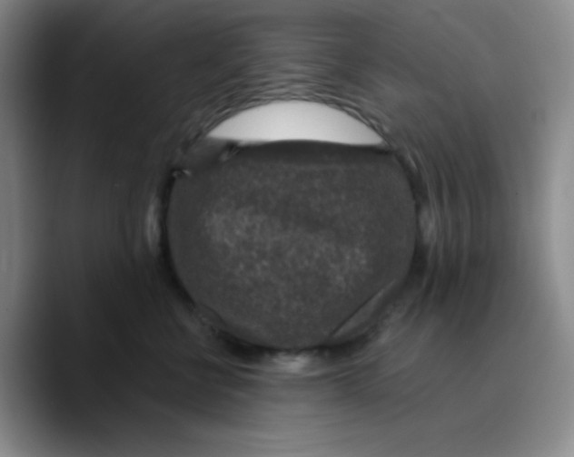 X0000089700570200707201743
