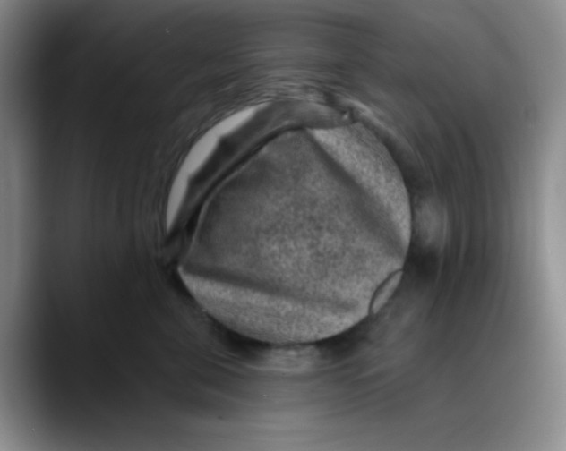 X0000089700571200707201743