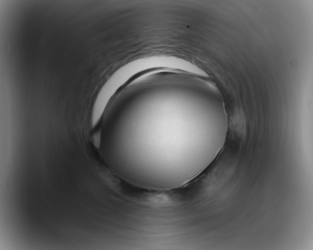 X0000089700572200707201743