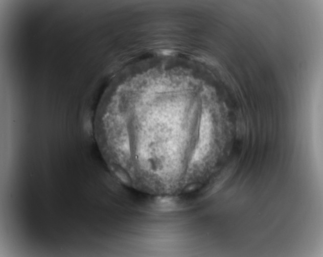 X0000089700573200707201743