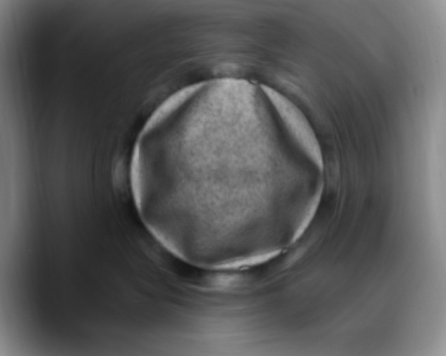 X0000089700575200707201743