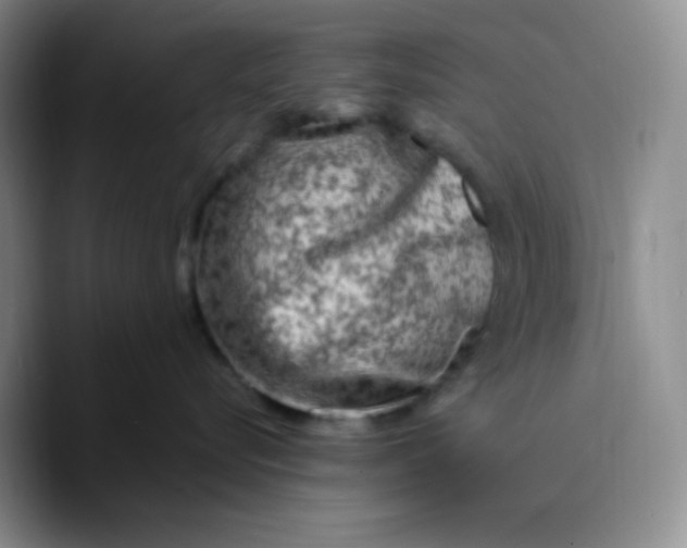 X0000089700576200707201743