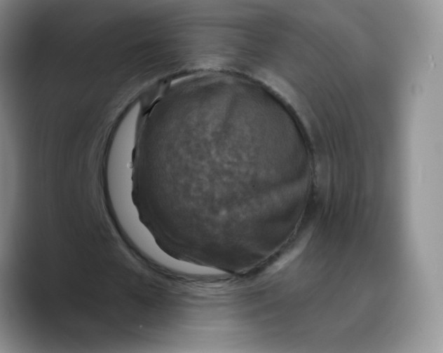 X0000089700577200707201742