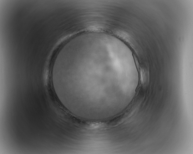 X0000089700579200707201742