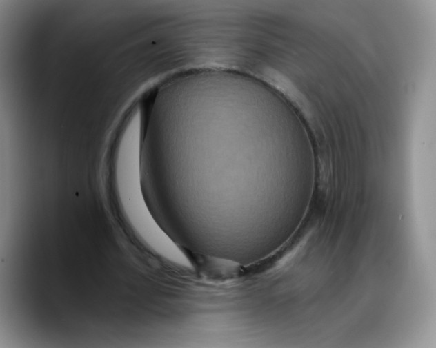X0000089700580200707201742