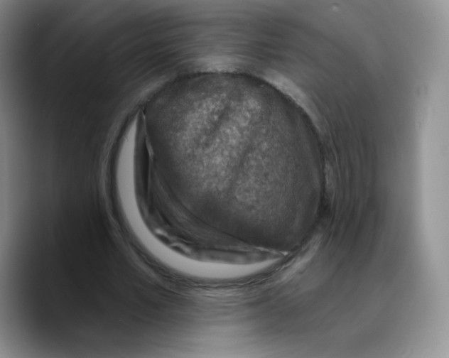 X0000089700581200707201742