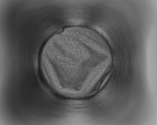 X0000089700582200707201742
