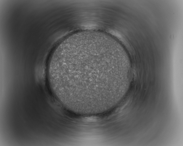 X0000089700583200707201742