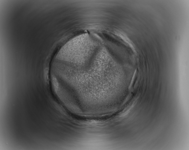 X0000089700585200707201742