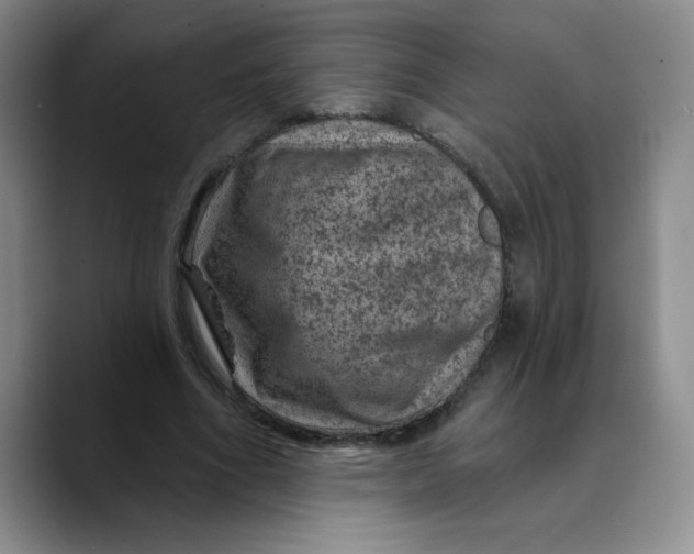 X0000089700586200707201742