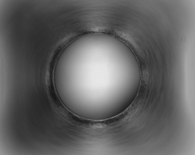 X0000089700587200707201742