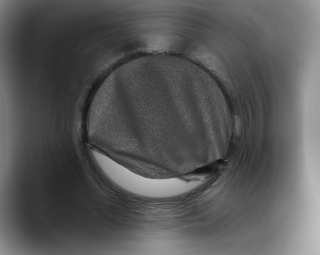 X0000089700588200707201742