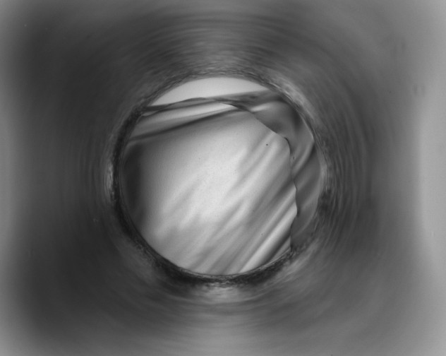 X0000089700589200707201742