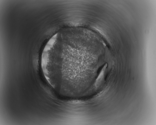 X0000089700590200707201742