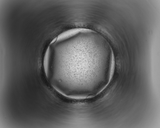 X0000089700593200707201742