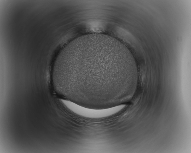X0000089700595200707201742
