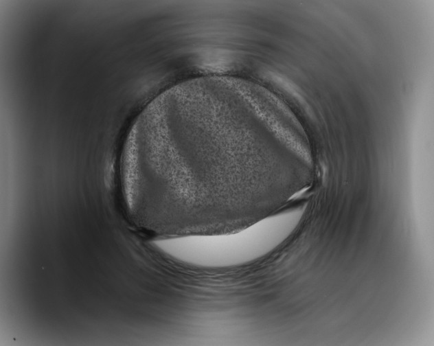 X0000089700596200707201742