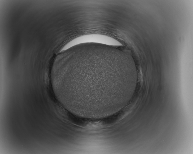 X0000089700599200707201742