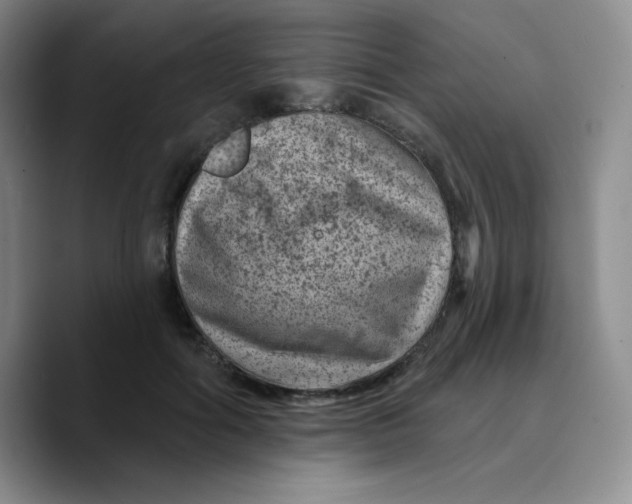 X0000089700602200707201742