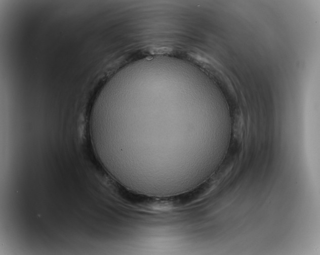X0000089700604200707201742