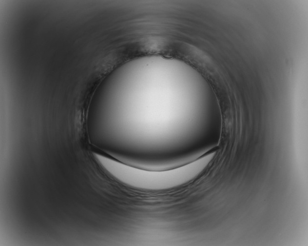 X0000089700605200707201742