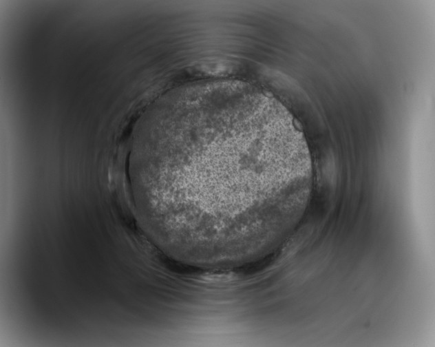 X0000089700606200707201742