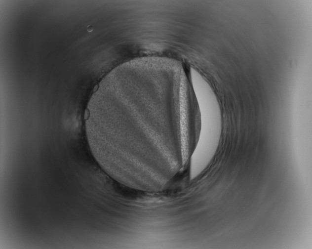 X0000089700608200707201742