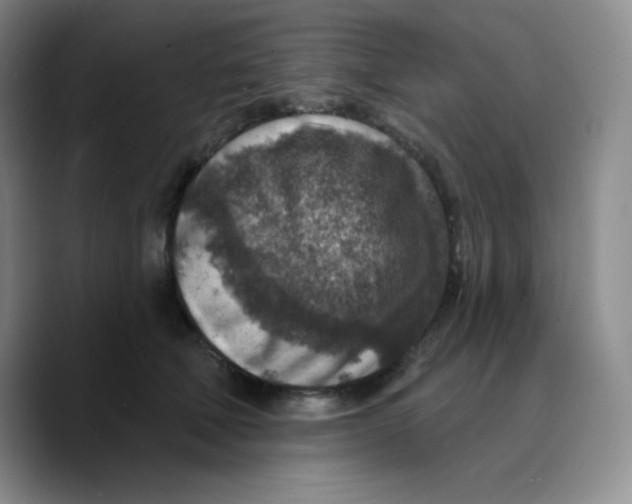 X0000089700610200707201742