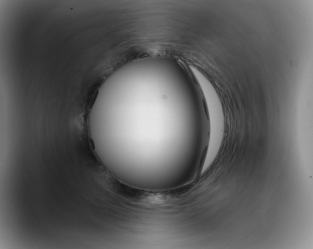 X0000089700611200707201742